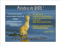 /album/textos-biblicos-en-imagenes/a2-jpg/