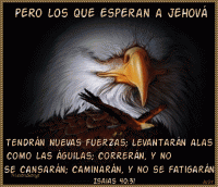 /album/textos-biblicos-en-imagenes/aguilas-gif/