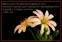 /album/textos-biblicos-en-imagenes/a10-jpg/