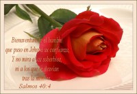 /album/textos-biblicos-en-imagenes/a11-jpg/