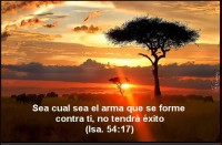 /album/textos-biblicos-en-imagenes/a46-jpg/