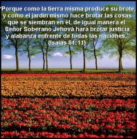 /album/textos-biblicos-en-imagenes/a47-jpg/