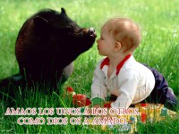 /album/textos-biblicos-en-imagenes/amistad003-jpg/