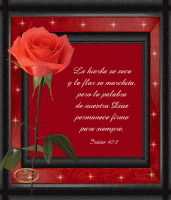 /album/textos-biblicos-en-imagenes/a56-gif/